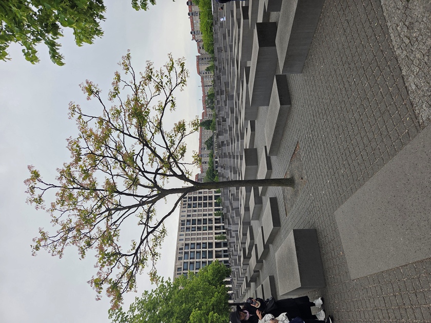 Kliknij, aby powiekszy�